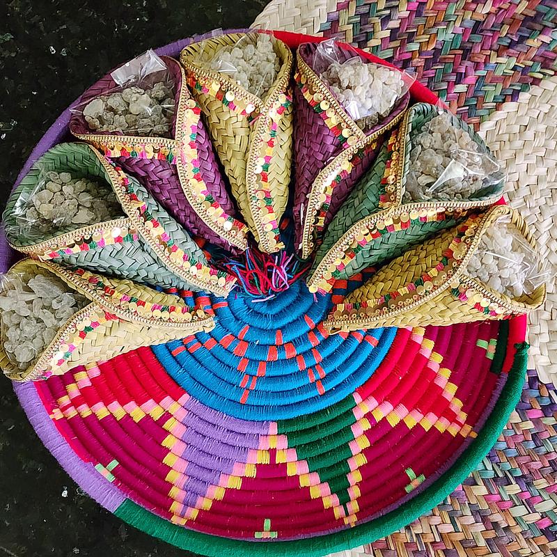 سفر ميني ملفوفه