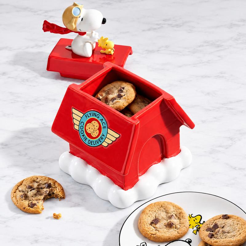 Snoopy cookies Jar